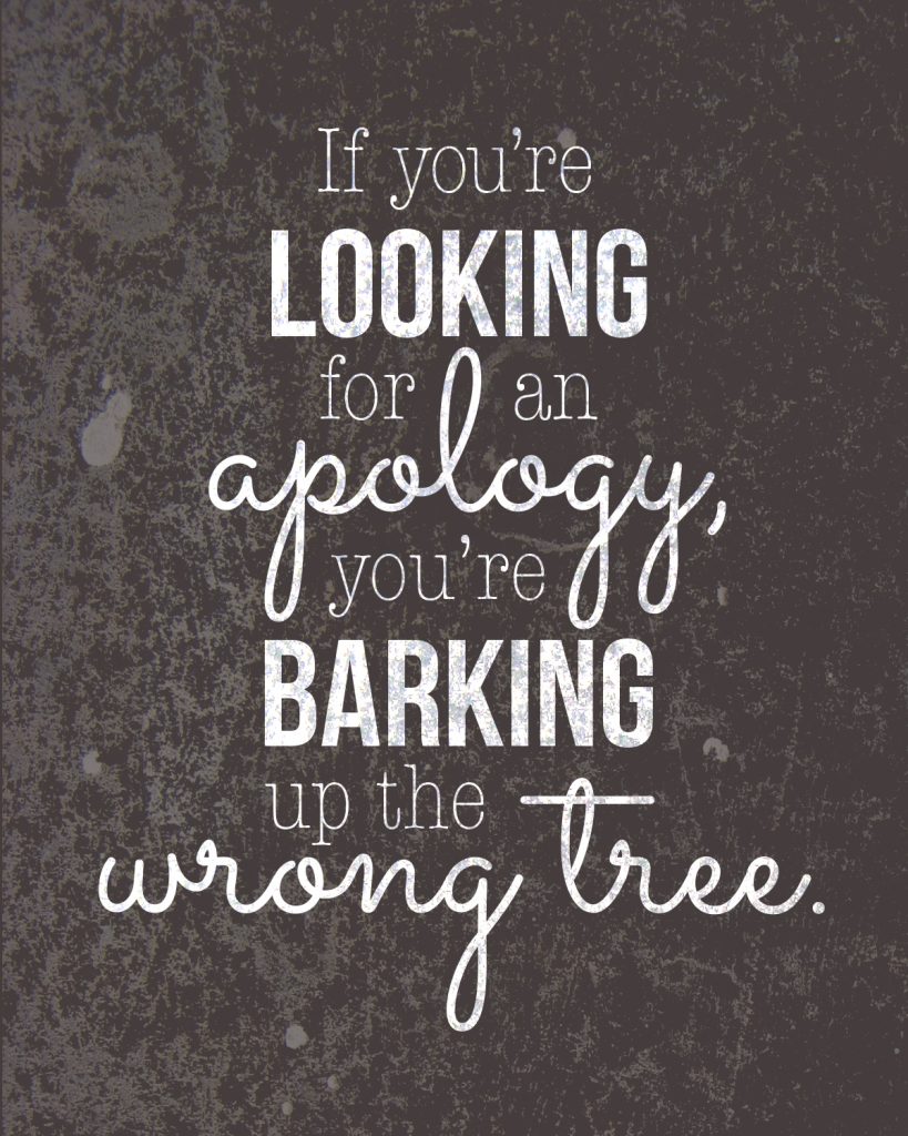 "If you're looking for an apology, you're barking up the wrong tree." on textured background