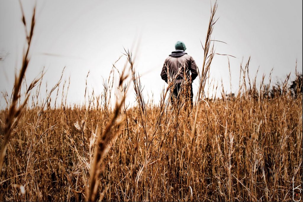 Young man standing in a field in autumn with his back to the viewer